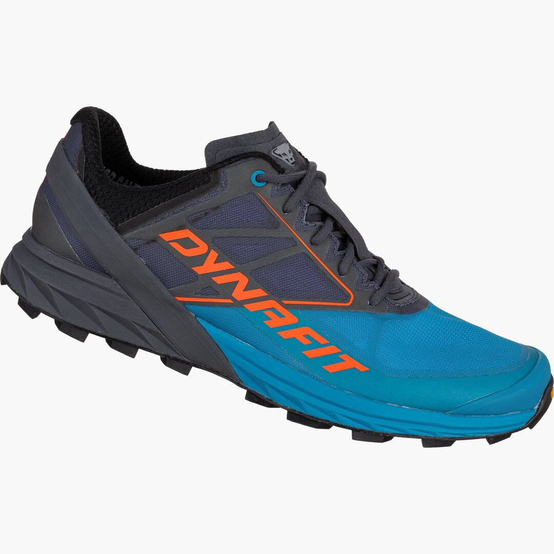 Dynafit Alpine Running Shoe Men - Magnet frost